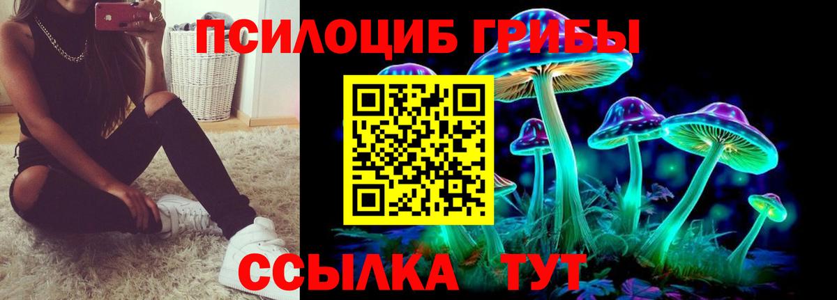 Тихорецк  Псилоцибиновые грибы Psilocybine cubensis  Вход с VPN 